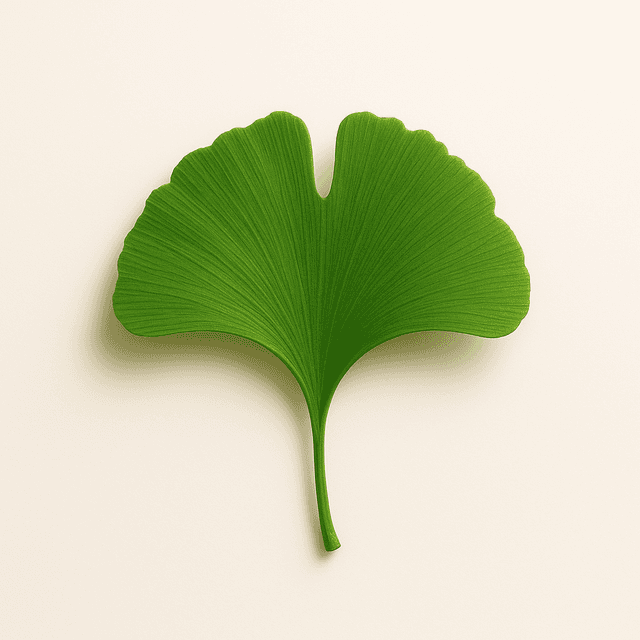 Ginkgo Biloba